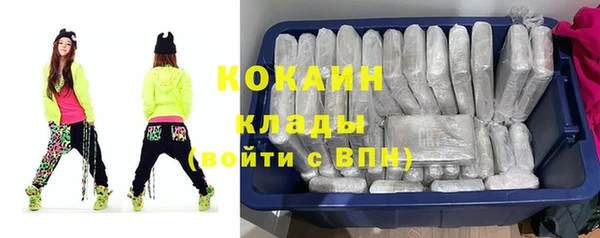 гидра Кодинск