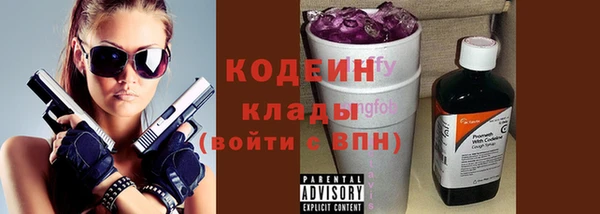 гидра Кодинск