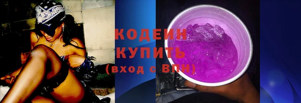 гидра Кодинск