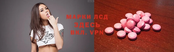 гидра Кодинск