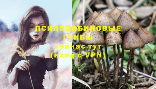 экстази Козловка