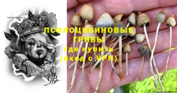экстази Козловка