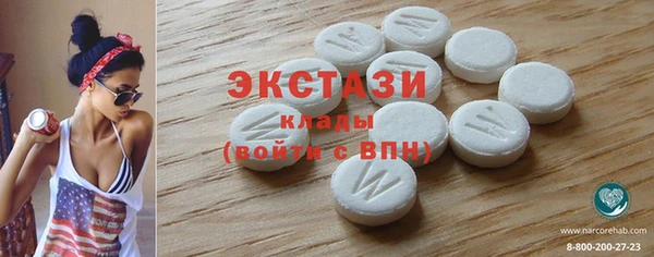 гидра Кодинск