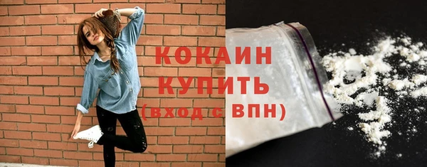 гидра Кодинск