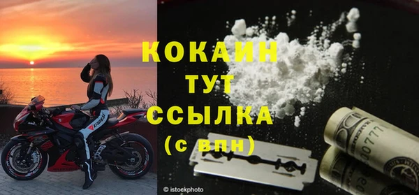гидра Кодинск
