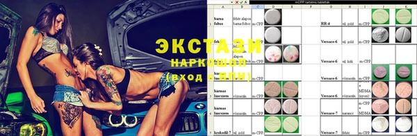 гидра Кодинск
