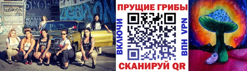 Купить  Ивангород  Галлюциногенные грибы Cubensis 