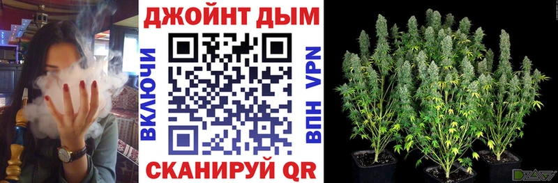 Бошки марихуана MAZAR  Купить  Ивангород 